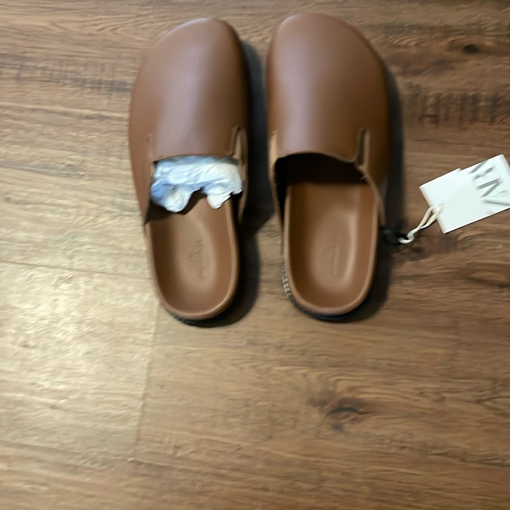Zara shoe